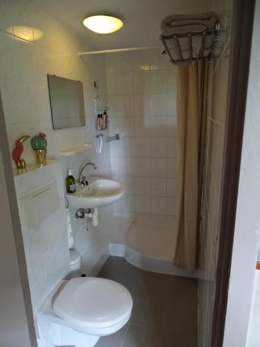 馬倫-凱塞爾的住宿－Roer, huisje aan de Maas，浴室配有卫生间、盥洗盆和淋浴。