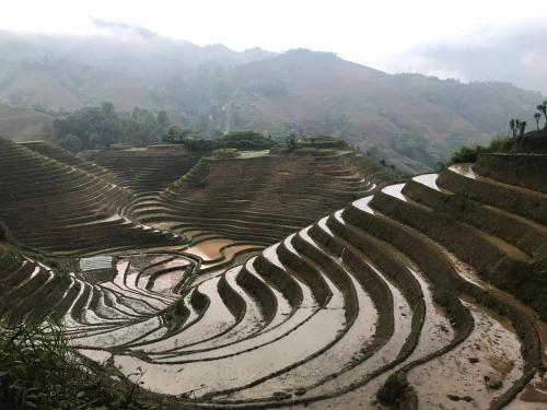 an amphitheatre of rice terraces on a mountain at Longji Terrace La vie Inn in Longsheng
