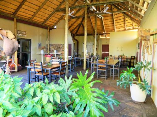a restaurant with wooden tables and chairs and plants at Vastrap Guest Farm in Grünau