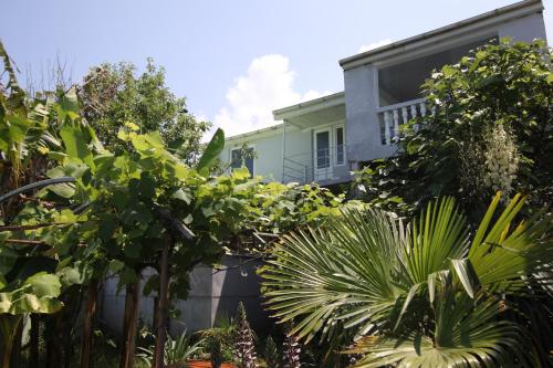 Hitas house tesisinin dışında bir bahçe