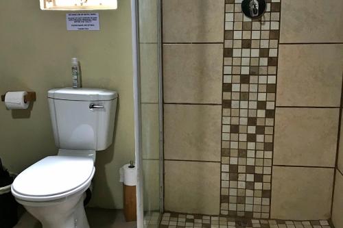 a bathroom with a toilet and a shower at Shala Mushe Tented Camp & Camp in Bela-Bela