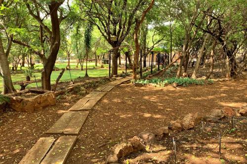 a wooden path in a park with trees at Shala Mushe Tented Camp & Camp in Bela-Bela