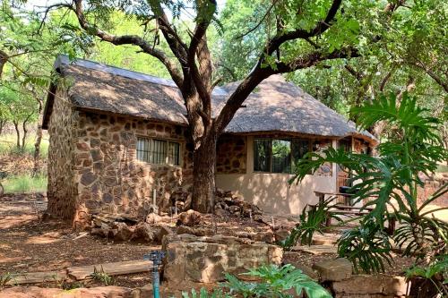 a stone house with a tree in front of it at Shala Mushe Tented Camp & Camp in Bela-Bela
