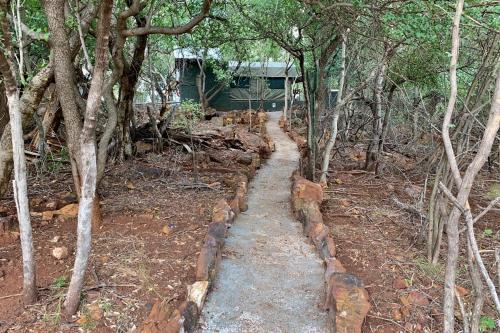 a path in the middle of a forest with trees at Shala Mushe Tented Camp & Camp in Bela-Bela
