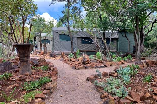 a garden with a house in the background at Shala Mushe Tented Camp & Camp in Bela-Bela