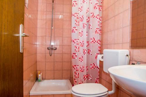ein Bad mit einem WC, einem Waschbecken und einer Dusche in der Unterkunft Vinska klet Smej in Lendava