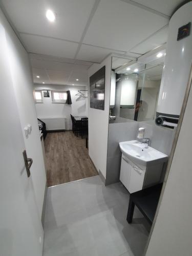 La petite salle de bains est pourvue d'un lavabo et d'un miroir. dans l'établissement Small Apartments Denisa Business, à Brno