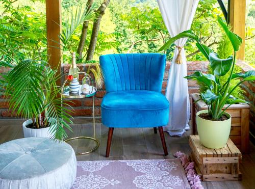 a blue chair sitting on a porch with plants at Villa Botanica in Mirkovec