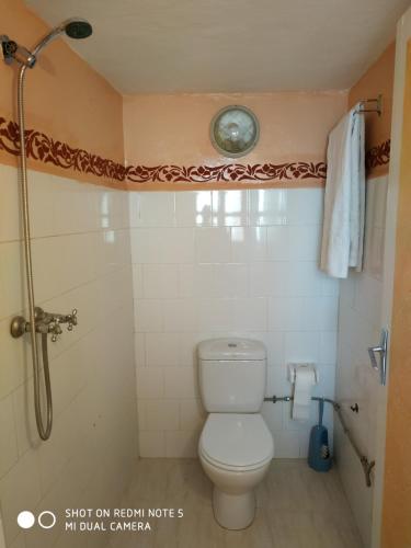 a bathroom with a toilet and a shower at maison de vacance in Tafraoute