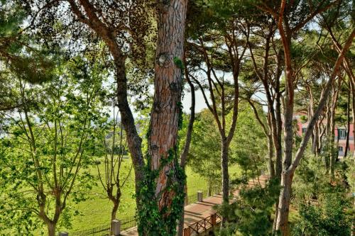 a tree with graffiti on it in a park at Amnis suites in Santa Maria di Castellabate