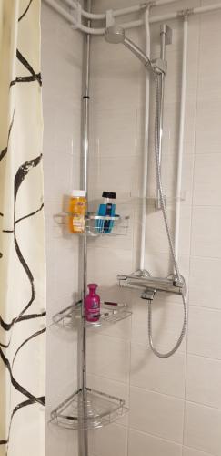 a shower with two shelves in a bathroom at Suojalantie 4 in Heinävesi