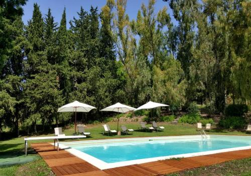 The swimming pool at or close to Masseria Rossella