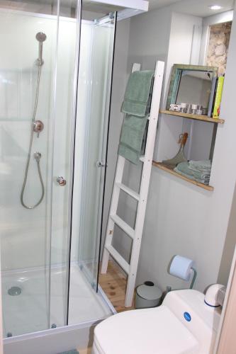 een badkamer met een douche en een ladder naast een toilet bij Arc de l'amour in Youx