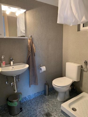a bathroom with a toilet and a sink at helios apartmenthouse in Olympic Beach