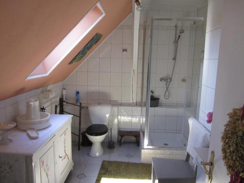 uma casa de banho com um chuveiro, um WC e um lavatório. em Mittenbach em Oberhaslach