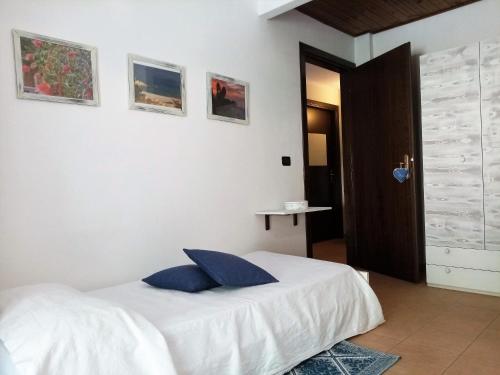 a bedroom with a bed with blue pillows on it at Su Pranu in Onifai