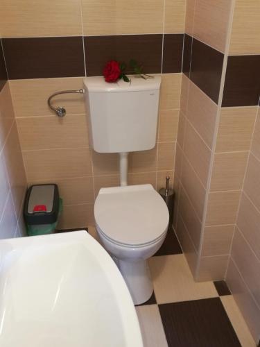 a bathroom with a toilet with a red rose on top at City Break Rooms Zagreb in Zagreb