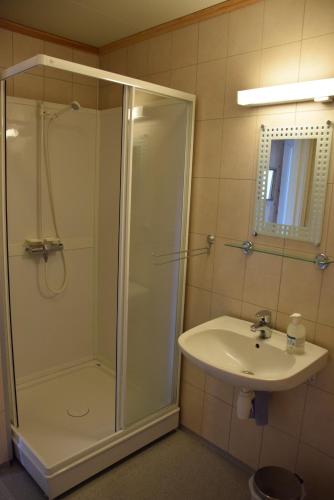 a bathroom with a shower and a sink at Hesthaug Gard in Eidsdal