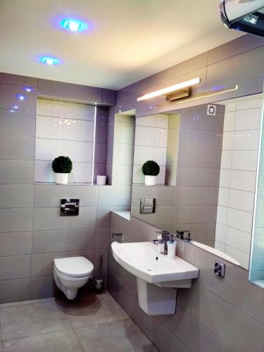 a bathroom with a toilet and a sink at Noclegi i Restauracja Gracja in Bełchatów