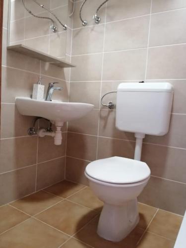 a bathroom with a toilet and a sink at City Break Rooms Zagreb in Zagreb