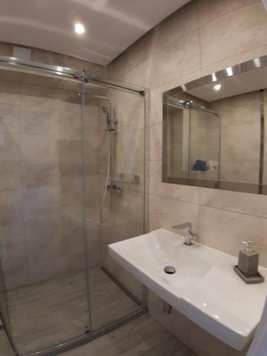 a bathroom with a sink and a glass shower at Gardenia Seaside Apartament 34 in Dziwnów