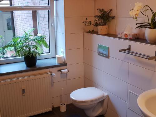 een badkamer met een toilet, een wastafel en een raam bij Ferienwohnung in Ostseenähe in Grevesmühlen