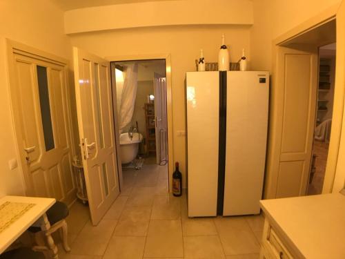 a kitchen with a white refrigerator in a room at Apartment Vintige in Cluj-Napoca