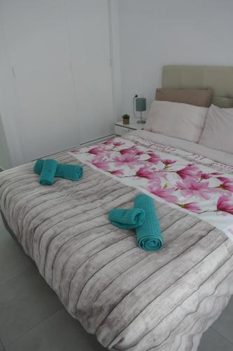 Corralejo Sun 312