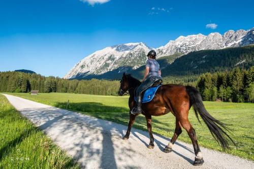 Montar a caballo en el apartamento o alrededores