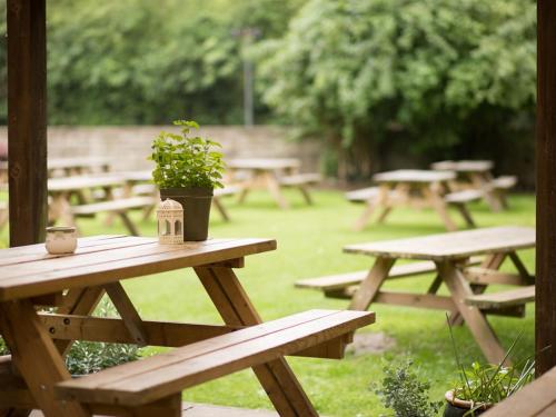 A garden outside The Roebuck Inn 