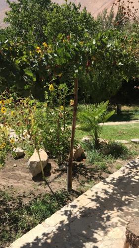a garden with flowers and a wooden fence at Casa Alma del Elqui Paihuano in Paihuano
