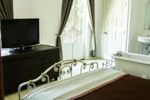 um quarto com uma cama, uma banheira e uma televisão em Condesa Haus B&B em Cidade do México