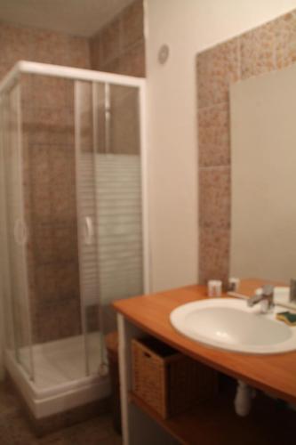 een badkamer met een wastafel en een douche bij Le Jardin de Zé in Fontaine-de-Vaucluse