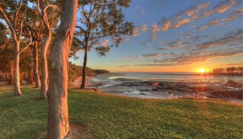 a sunset over a beach with trees and the ocean at Discovery Parks - Tannum Sands in Tannum Sands