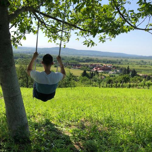 a man hanging from a tree while on a swing at Itt és Most - Szent György-hegy in Raposka