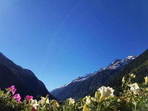 a view of a mountain valley with flowers at Haus Kaunergrat in Kaunertal
