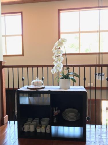 a table with a pot and a plant on it at Wesbert Winery & Guest Suites in Penticton
