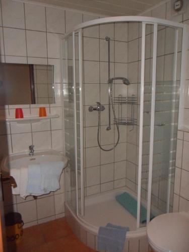 a bathroom with a shower and a sink at Hotel & Pension Haus Dewenter in Lichtenau