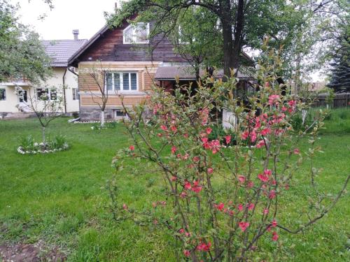 a house with a bush with pink flowers in a yard at Casa traditionala Subcetate in Subcetate