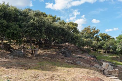 a hillside with trees and a bench on it at Cidadelhe Rupestre Turismo Rural in Cidadelhe