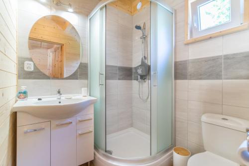 a bathroom with a shower and a sink and a toilet at Niebieski Zakątek in Wisełka