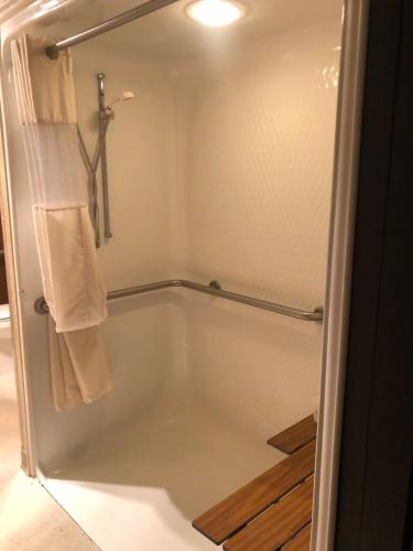 Kamar mandi di Microtel Inn & Suites by Wyndham Mason