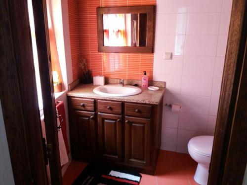 een badkamer met een wastafel en een toilet bij Casa de Campo Cabriz Casa do Brasileiro in Vila Real