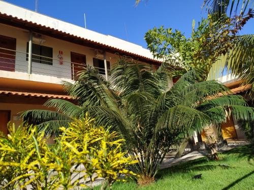 a palm tree in front of a building at Pousada Facincani in Olímpia