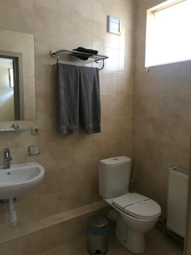 a bathroom with a toilet and a sink at Arizona Hotel in Uzhhorod