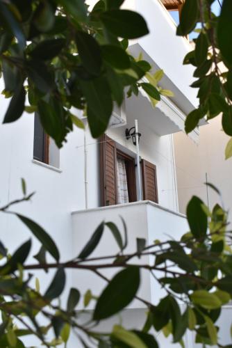 a window on a white building with green leaves at Katerina Studios in Naxos Chora