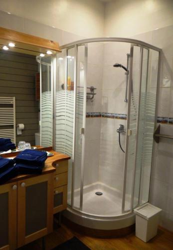 une salle de bain avec douche et lavabo dans l'établissement Au cœur des vignobles, à Saint-Estèphe