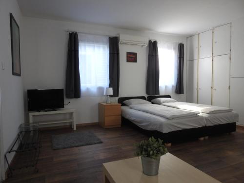 a living room with two beds and a television at Akali studio apartments in Balatonakali