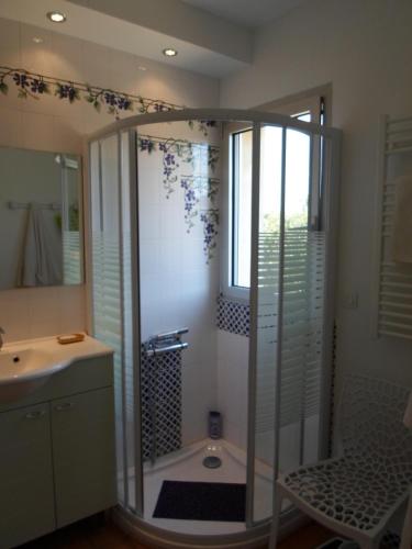 a bathroom with a shower and a sink at Chambre d'hôtes Villa Chênes-Pierres in Mollans-sur-Ouvèze
