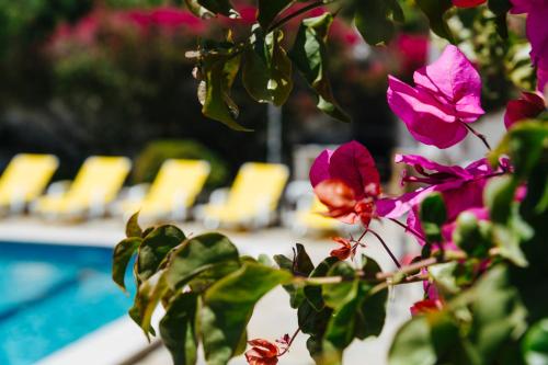 uma planta com flores rosas ao lado de uma piscina em Great view to sea, villa with pool em Salema